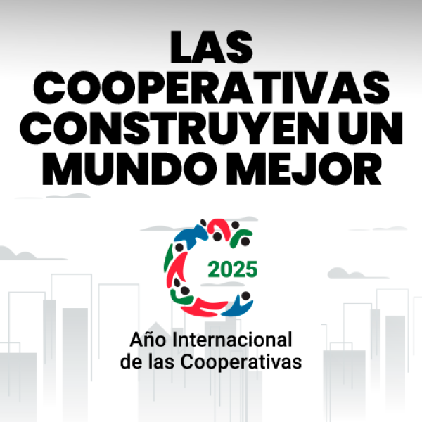 Año Cooperativas Celu